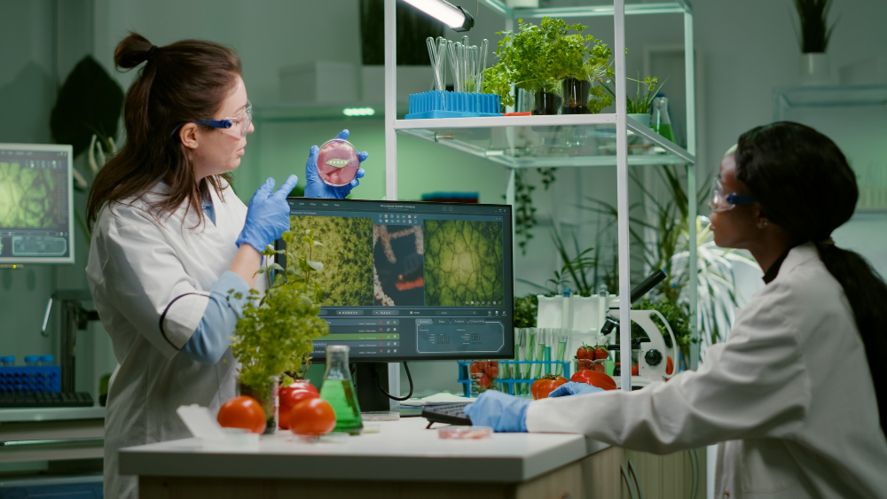 Building Sustainable HealthTech Startups A Platform-Led Approach