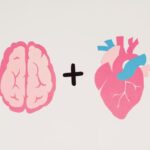 Organ Cross-Talk: How the Brain, Gut, Liver and Immune System Communicate With One Another